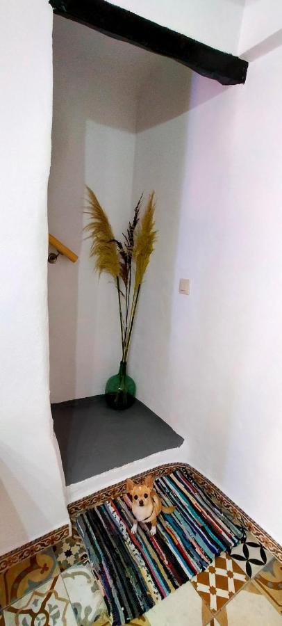 Casa Rural Benidorm Finestrat El Capricho Exteriör bild